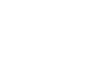 logo2-wb